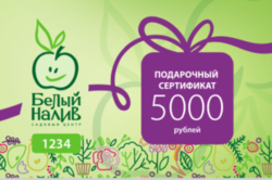 Подарочный сертификат 5 000 рублей